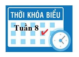 Thời khóa biểu tuần 8