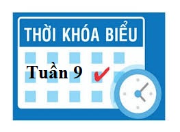 Thời khóa biểu tuần 9